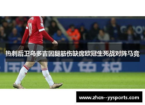 热刺后卫乌多吉因腿筋伤缺席欧冠生死战对阵马竞