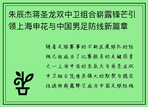 朱辰杰蒋圣龙双中卫组合崭露锋芒引领上海申花与中国男足防线新篇章